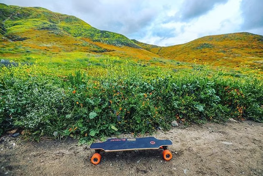 Blitzart E-Skateboard