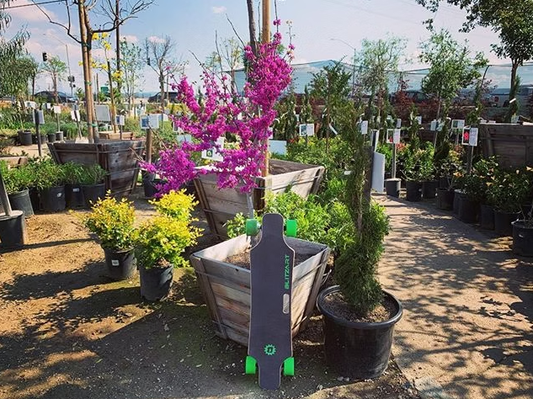 Blitzart E-Skateboard