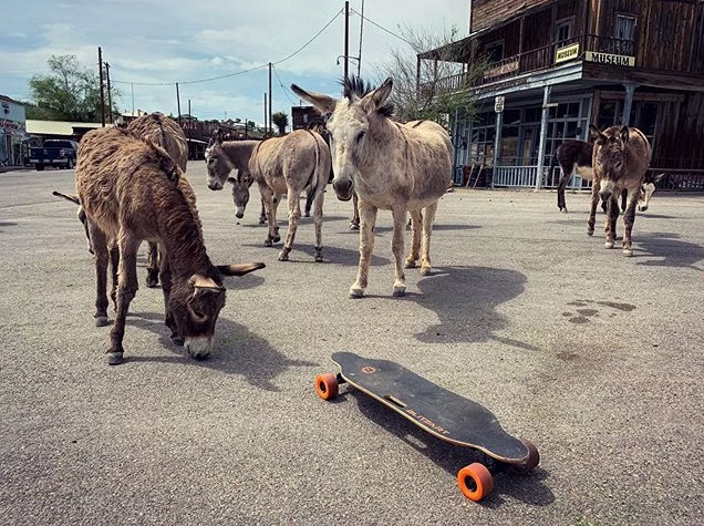 Blitzart E-Skateboard