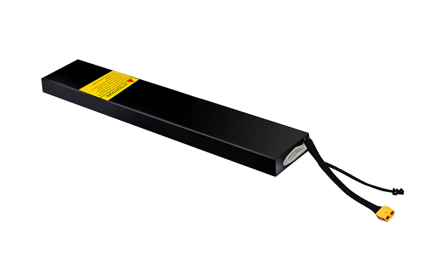 Standard Electric Longboard Battery- 5C